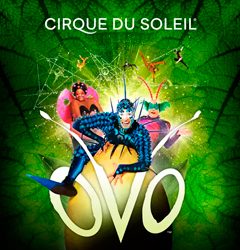 cirque2019-tumb